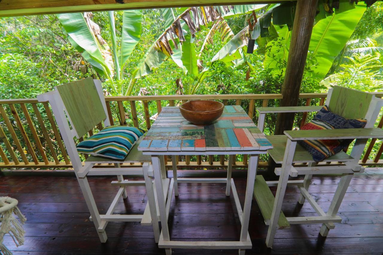 فيلا Zimbali Culinary Retreats نيغريل المظهر الخارجي الصورة