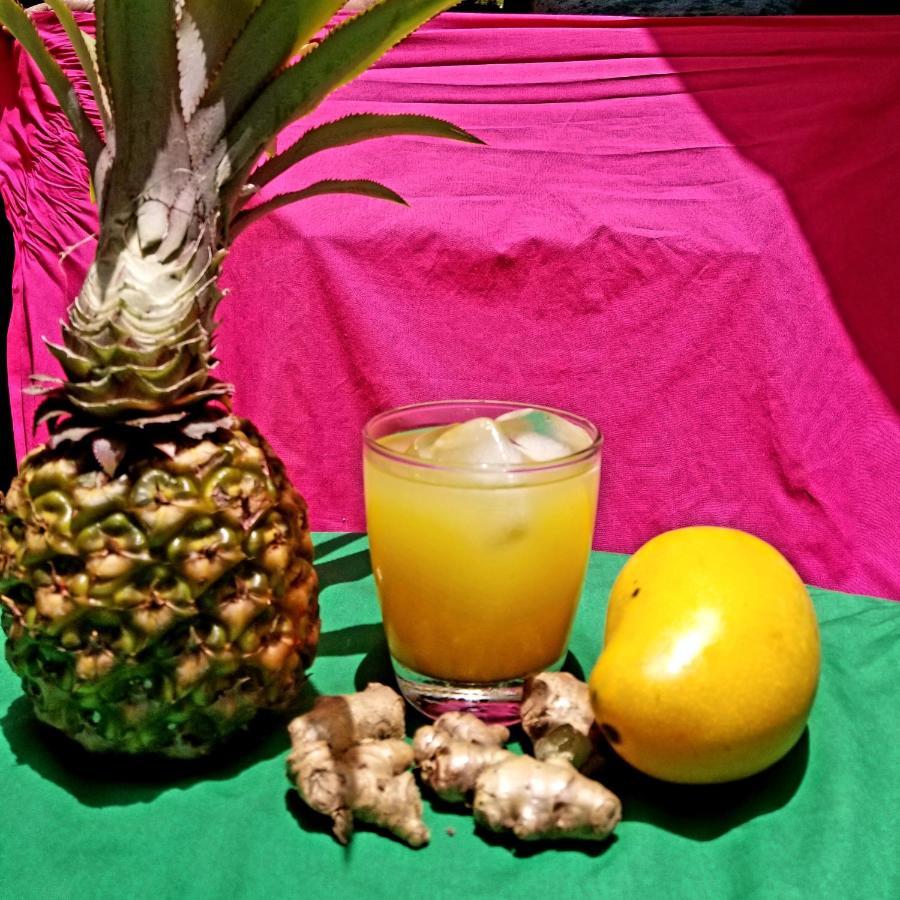 فيلا Zimbali Culinary Retreats نيغريل المظهر الخارجي الصورة