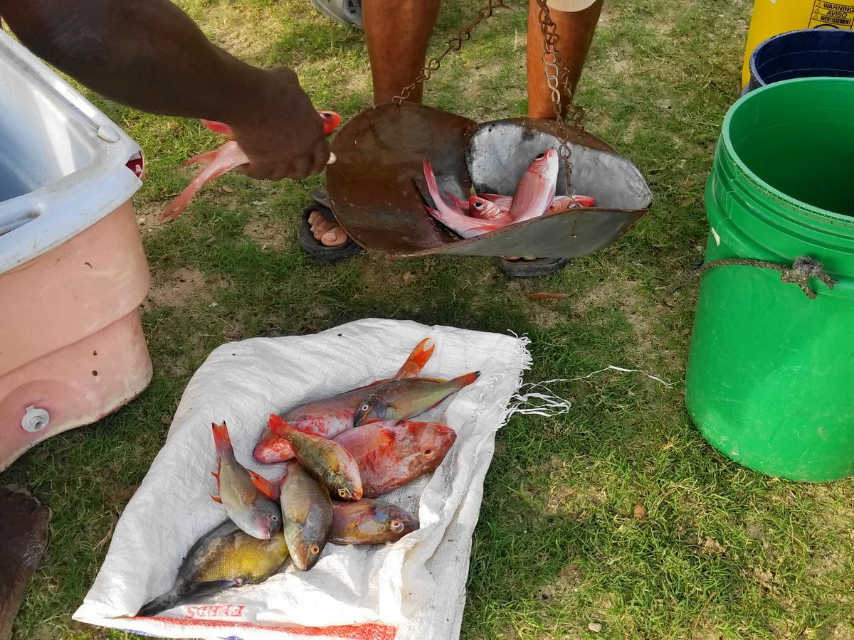 فيلا Zimbali Culinary Retreats نيغريل المظهر الخارجي الصورة