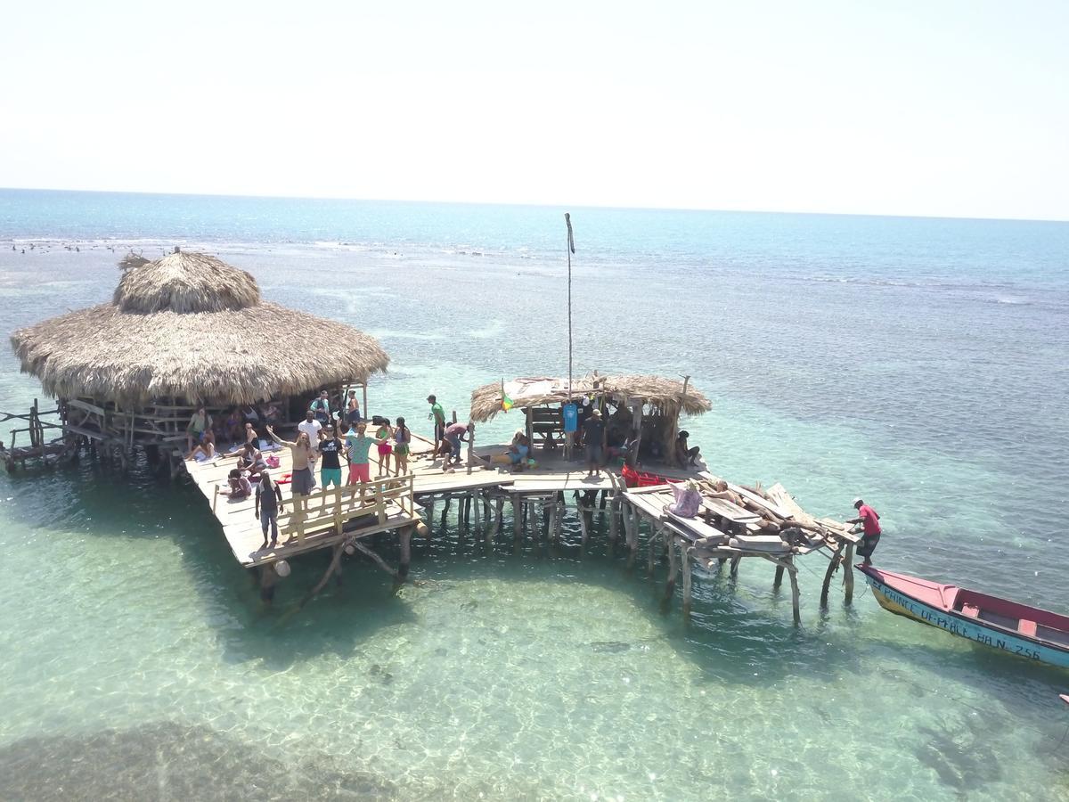 فيلا Zimbali Culinary Retreats نيغريل المظهر الخارجي الصورة